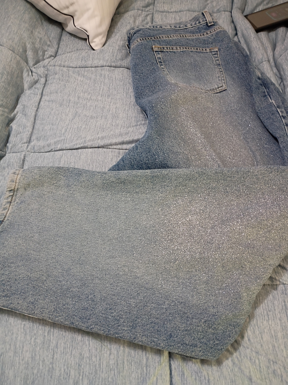 Women's Plus Size Sparkle Blue Jeans